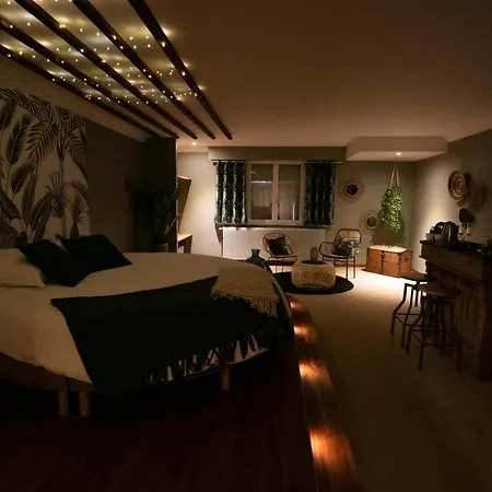 Chambre Jungle בית הארחה *